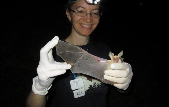 Learning to Love Bats with Joy O'Keefe