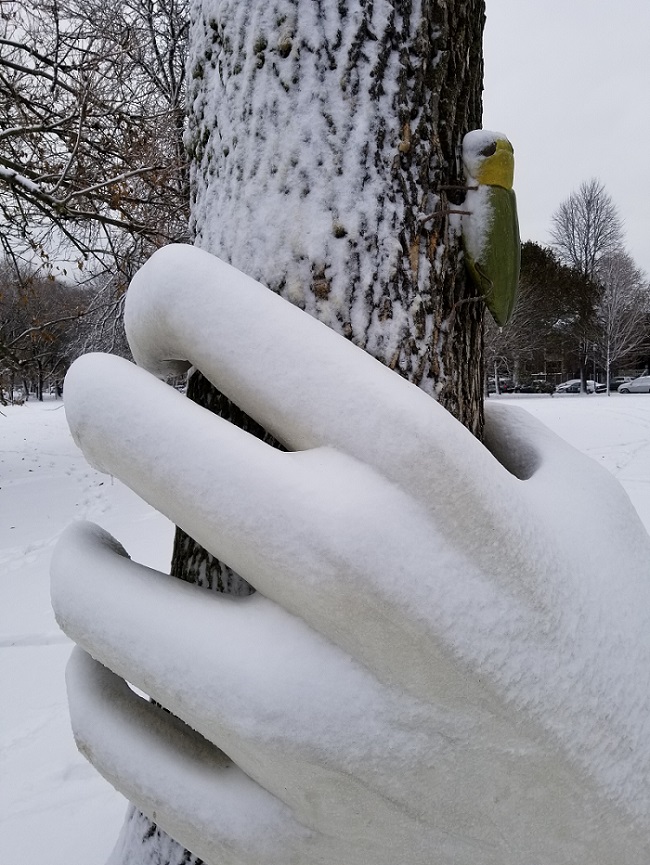 "Helping Hand" Saving Trees