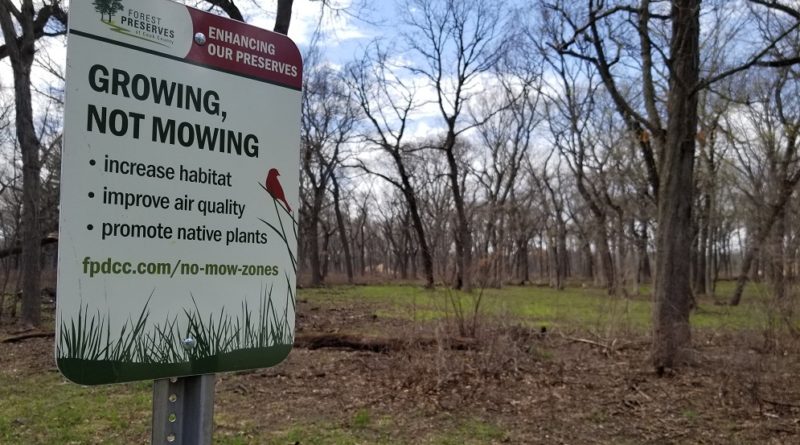 Forest Preserves In The Age Of Climate Crisis The Mike Nowak Show With Peggy Malecki