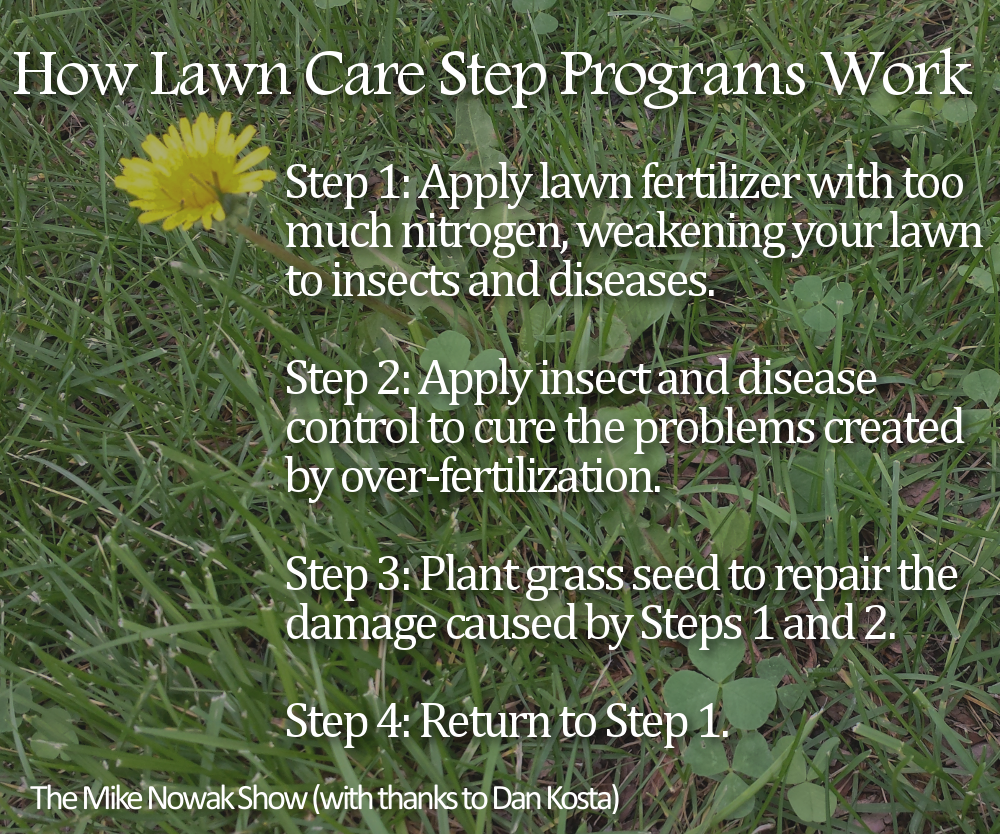 4-step lawn care programs