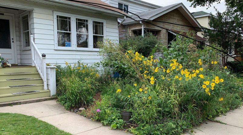 How Two Gardeners Beat Chicago City Hall