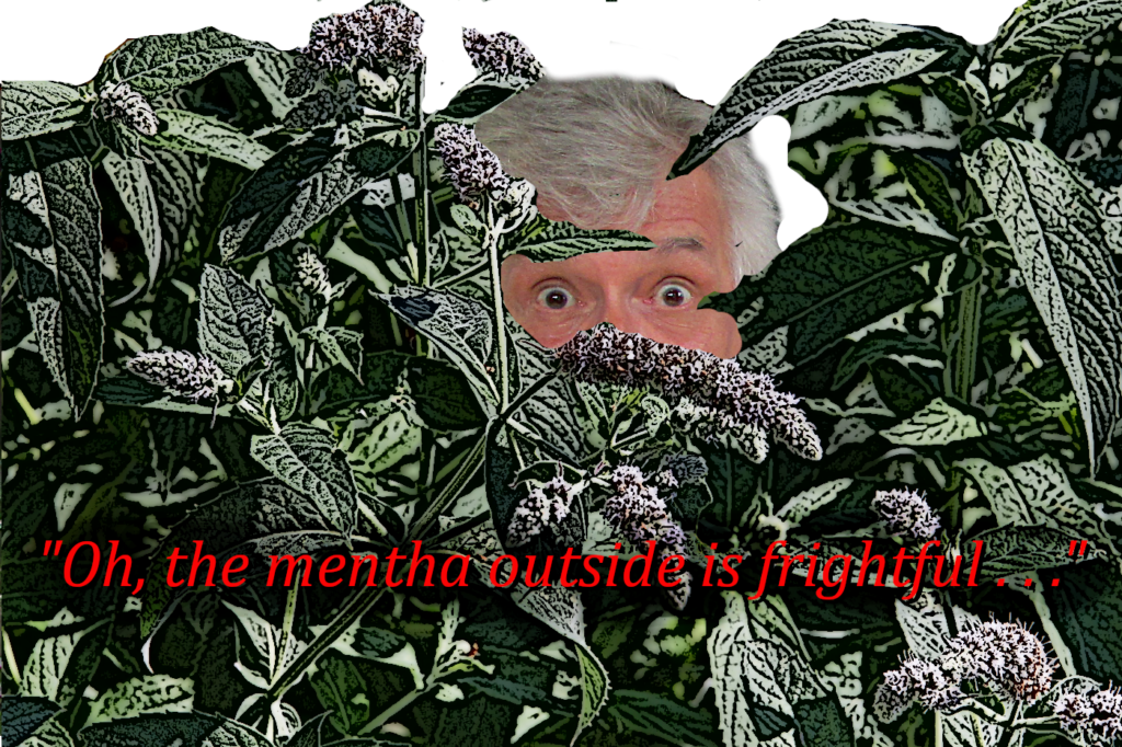 Mike with scary mentha