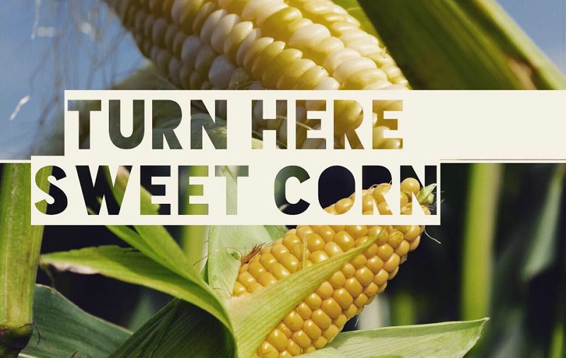 Turn Here Sweet Corn by Atina Diffley