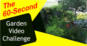 60-Second Garden Video Challenge