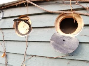 Busting insulation myths - Insulation holes