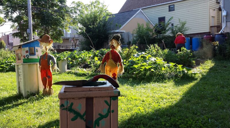 Chicago's War on Community Gardens