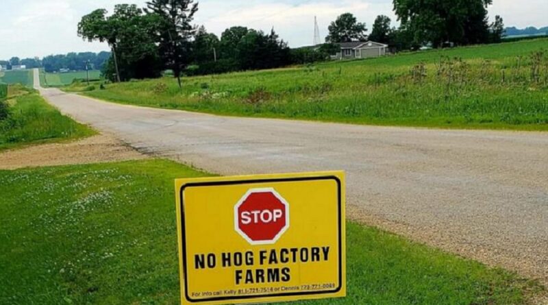 Hog CAFOs Threaten Quality of Life in Illinois