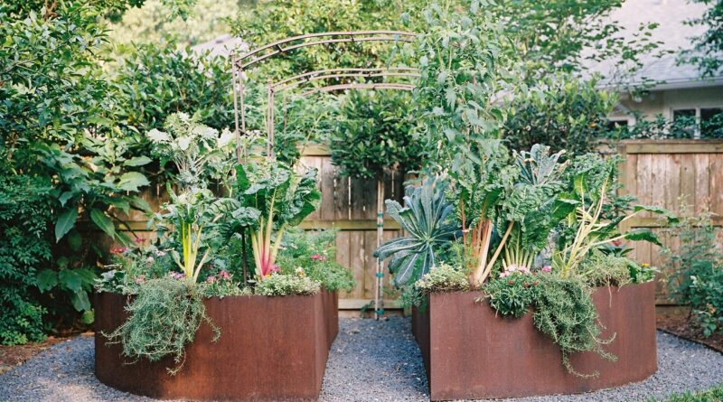 Great Growing - Kitchen Garden Revival