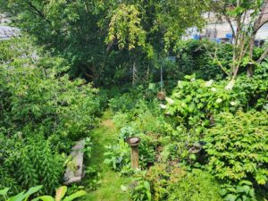 Mike's Backyard 2025